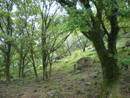 b0061107_23212049.jpg