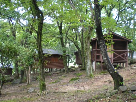 b0061107_23214135.jpg