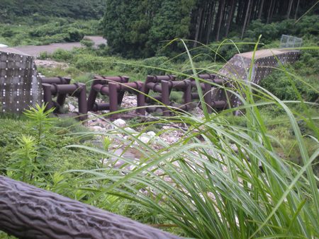 b0061107_23235743.jpg