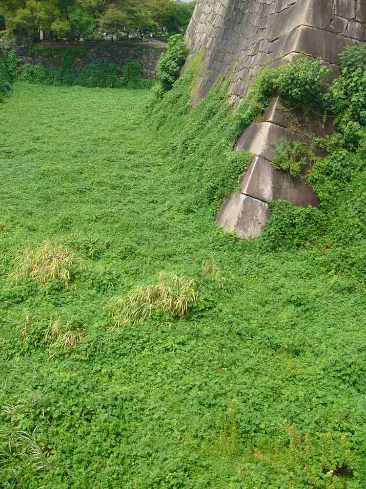 c0062511_22115916.jpg