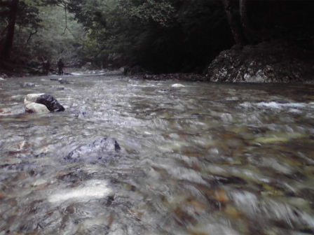 f0079411_203121.jpg