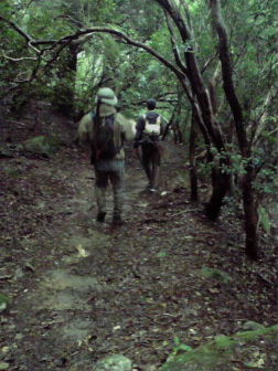 f0079411_20471730.jpg