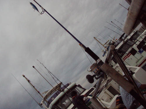 b0121015_105284.jpg