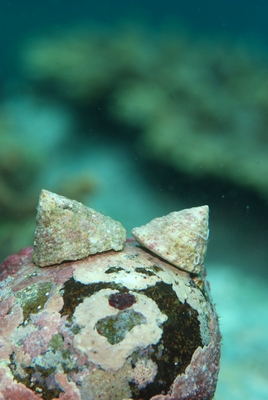 b0155916_1242423.jpg