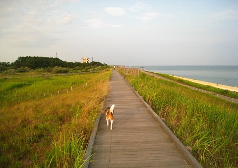 c0084117_1524663.jpg