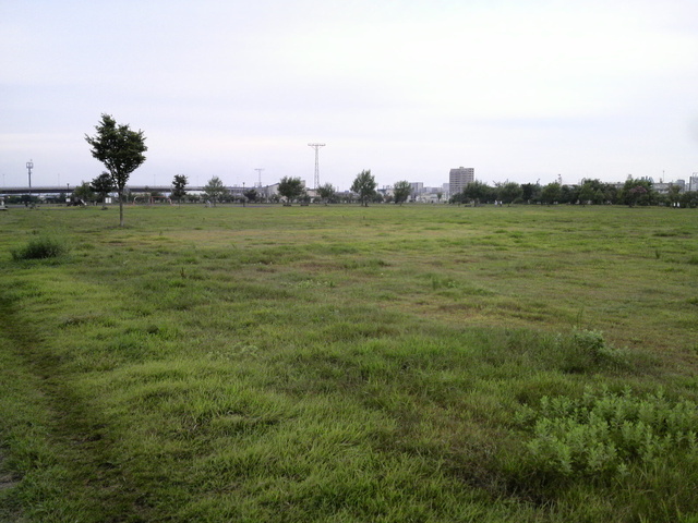 e0169920_18484157.jpg