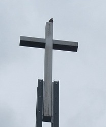 f0037623_18223628.jpg