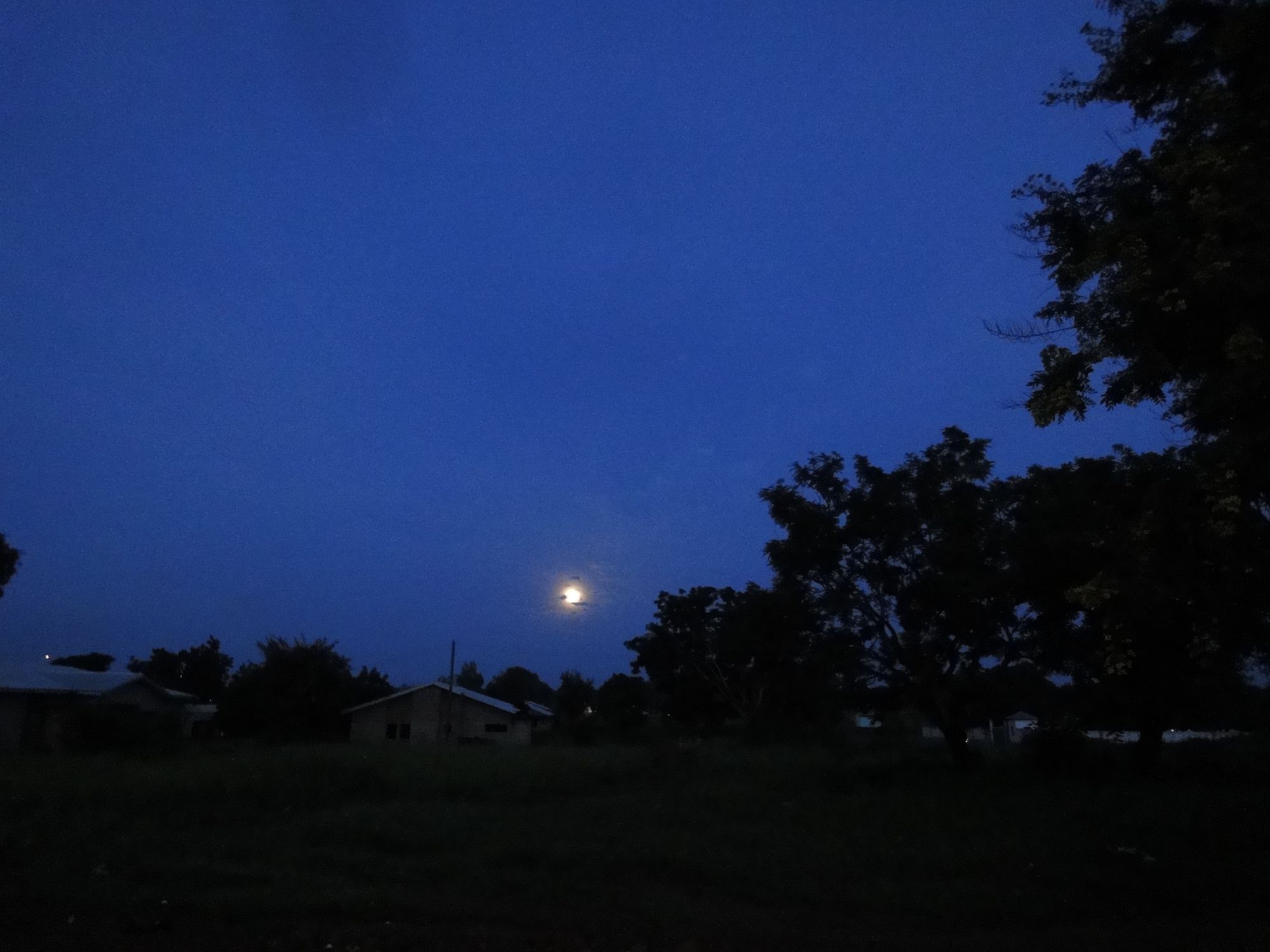 b0207724_3203119.jpg