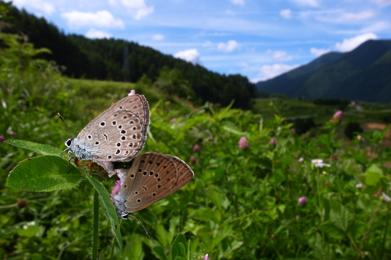 d0054625_22444238.jpg