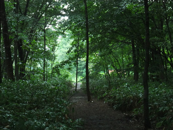 f0045630_8341960.jpg