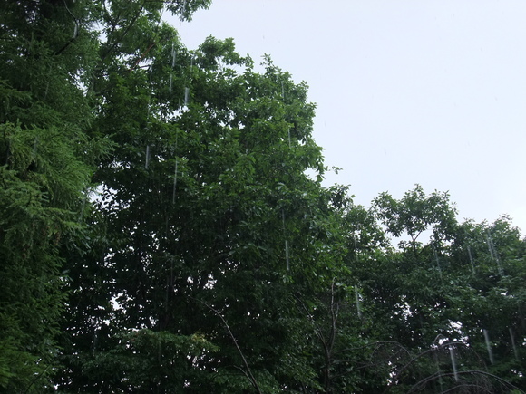 f0045630_8354140.jpg
