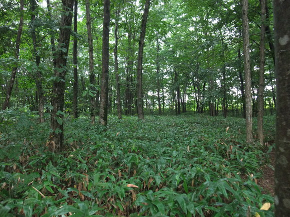 f0045630_8374751.jpg