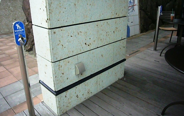 e0133535_20383951.jpg
