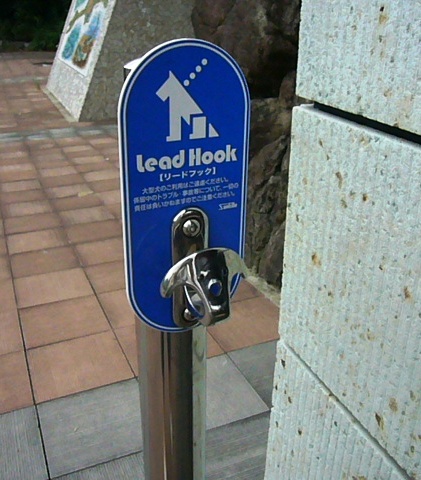 e0133535_20391560.jpg