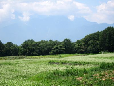 b0178339_1414832.jpg