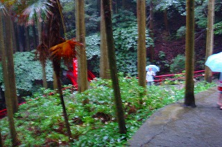 b0200747_7151351.jpg
