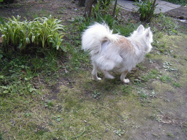 b0072650_14124182.jpg