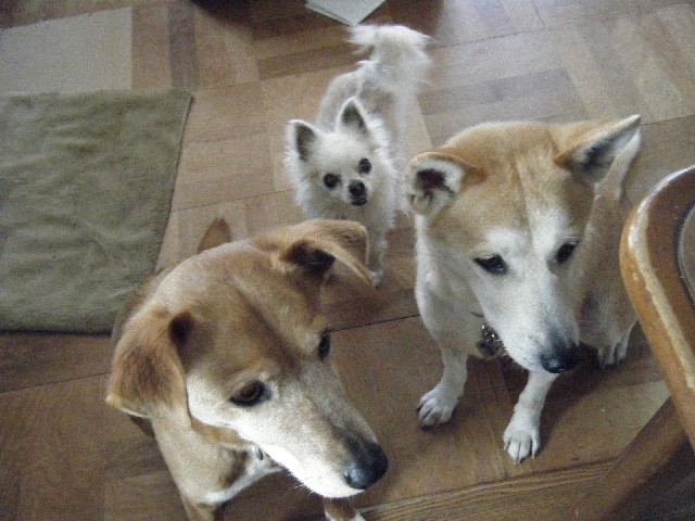 b0072650_14134226.jpg