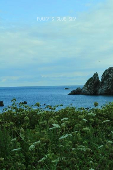 c0145250_11423171.jpg