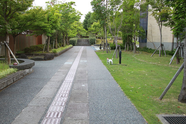 f0108553_10205274.jpg