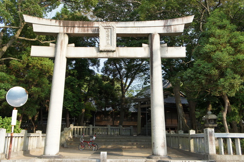 d0226154_1451923.jpg