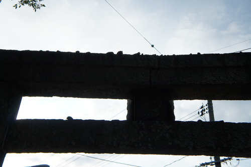 d0226154_1482727.jpg