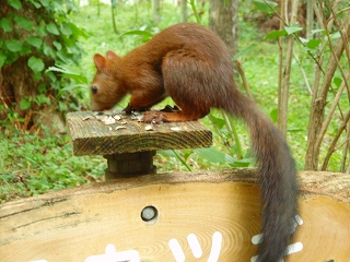 e0004756_207647.jpg