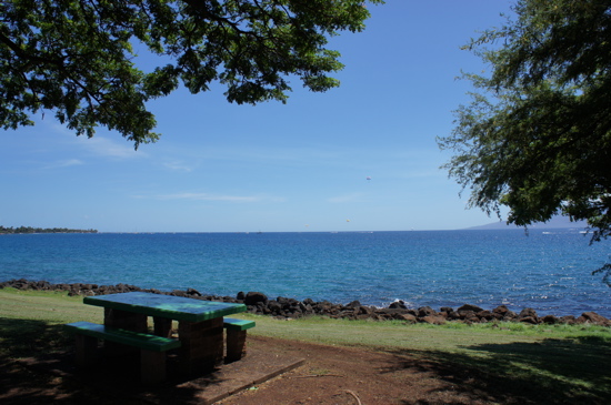 c0153259_10202321.jpg