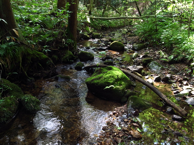 b0130166_21484498.jpg