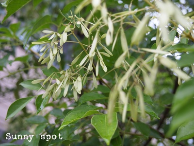 d0214472_17133393.jpg