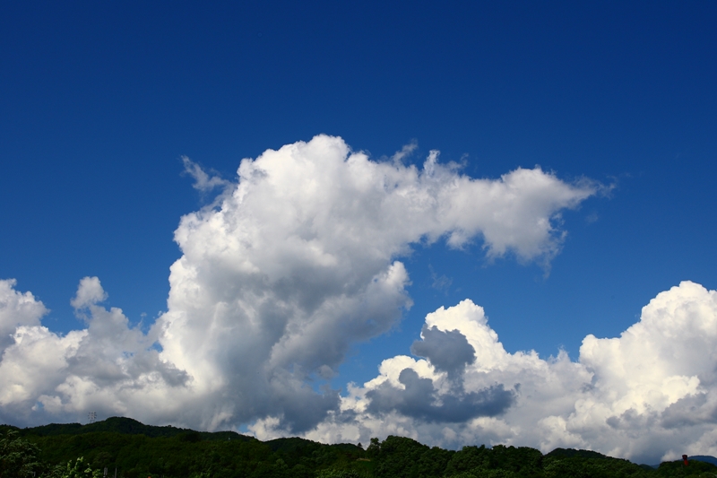 a0016775_012662.jpg