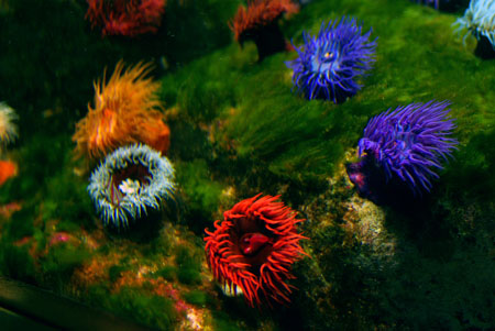 a0196876_23372847.jpg