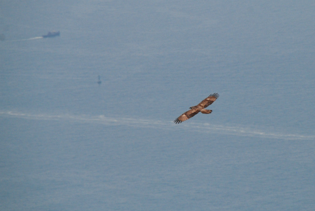 d0245378_1711471.jpg