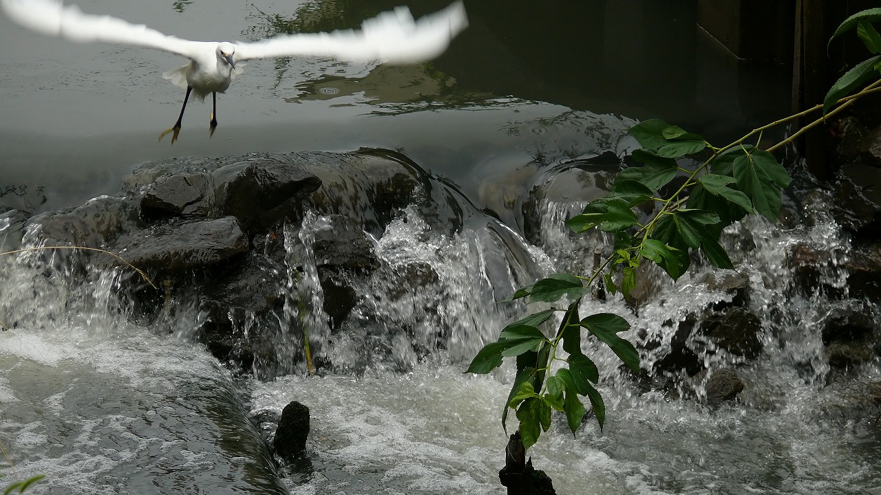 a0185081_14432665.jpg