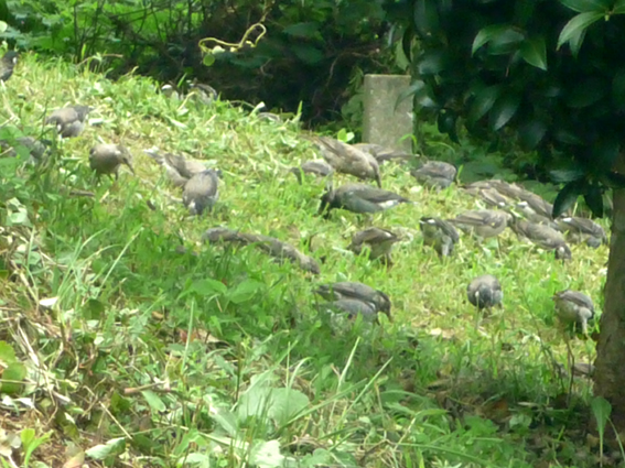c0125283_19333811.jpg
