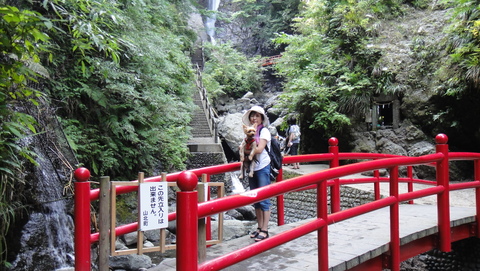 e0123587_20461380.jpg