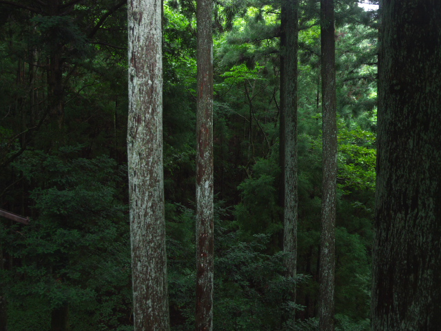 f0024992_955879.jpg