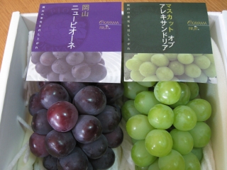 a0042295_2252416.jpg
