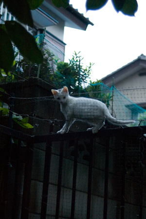 f0239100_22019.jpg