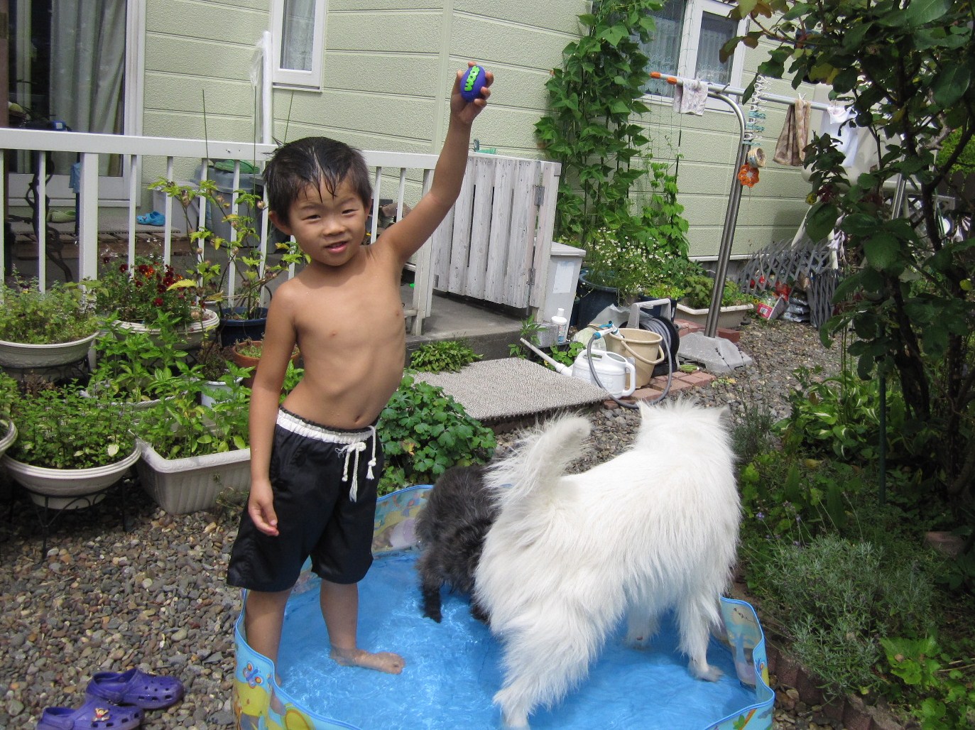 d0009101_1522636.jpg