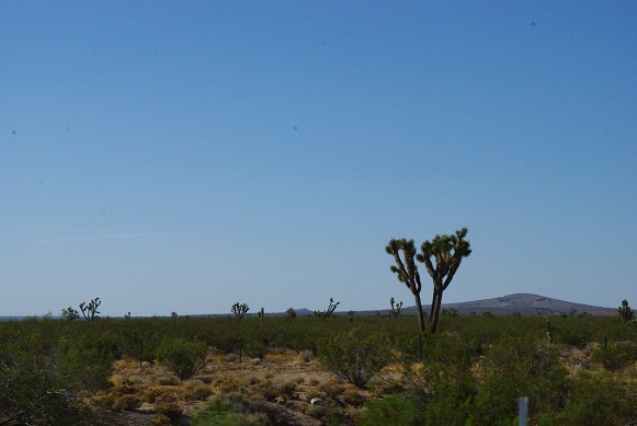 f0038904_1125795.jpg