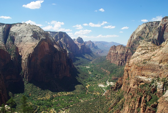 f0038904_4464480.jpg