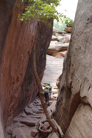 f0038904_9205833.jpg