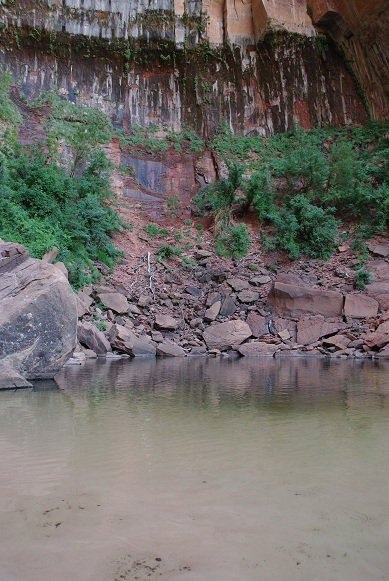 f0038904_922461.jpg