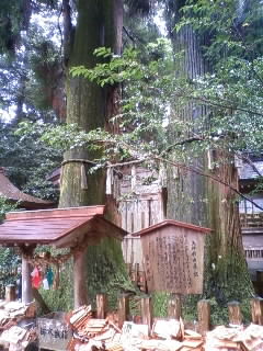 e0159905_21124037.jpg