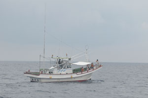 f0048405_20264465.jpg