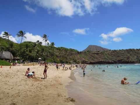 a0159009_1515874.jpg