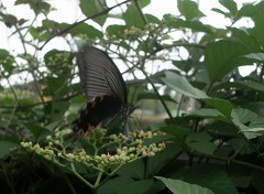 c0190010_21314317.jpg