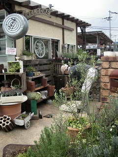 c0190010_2144597.jpg