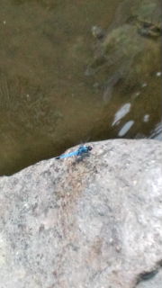 e0082110_5344487.jpg